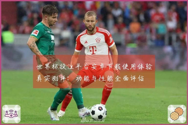 世界杯投注平台安卓下载使用体验真实测评：功能与性能全面评估