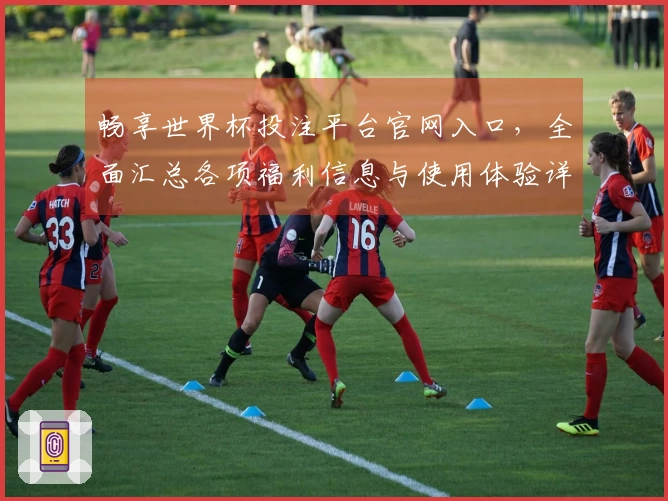 畅享世界杯投注平台官网入口，全面汇总各项福利信息与使用体验详解