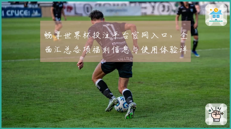 畅享世界杯投注平台官网入口，全面汇总各项福利信息与使用体验详解