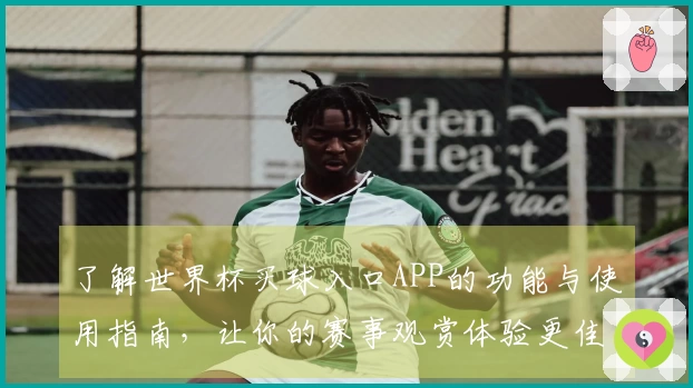 了解世界杯买球入口APP的功能与使用指南，让你的赛事观赏体验更佳