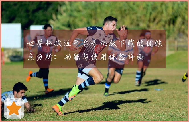 世界杯投注平台手机版下载的优缺点分析：功能与使用体验评测